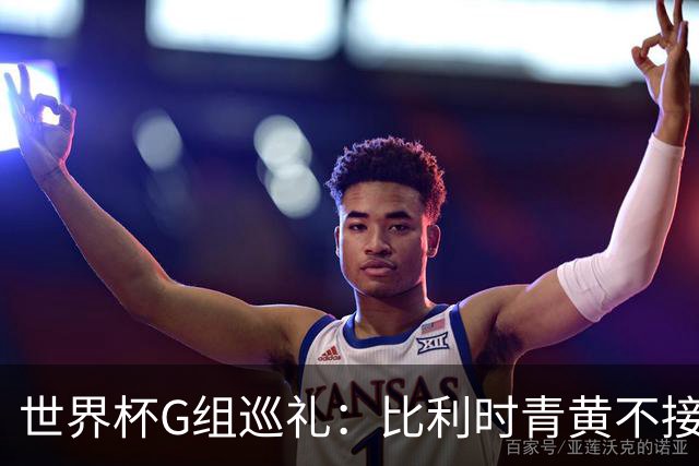 世界杯G组巡礼：比利时青黄不接 伊朗赴美参赛风波不断